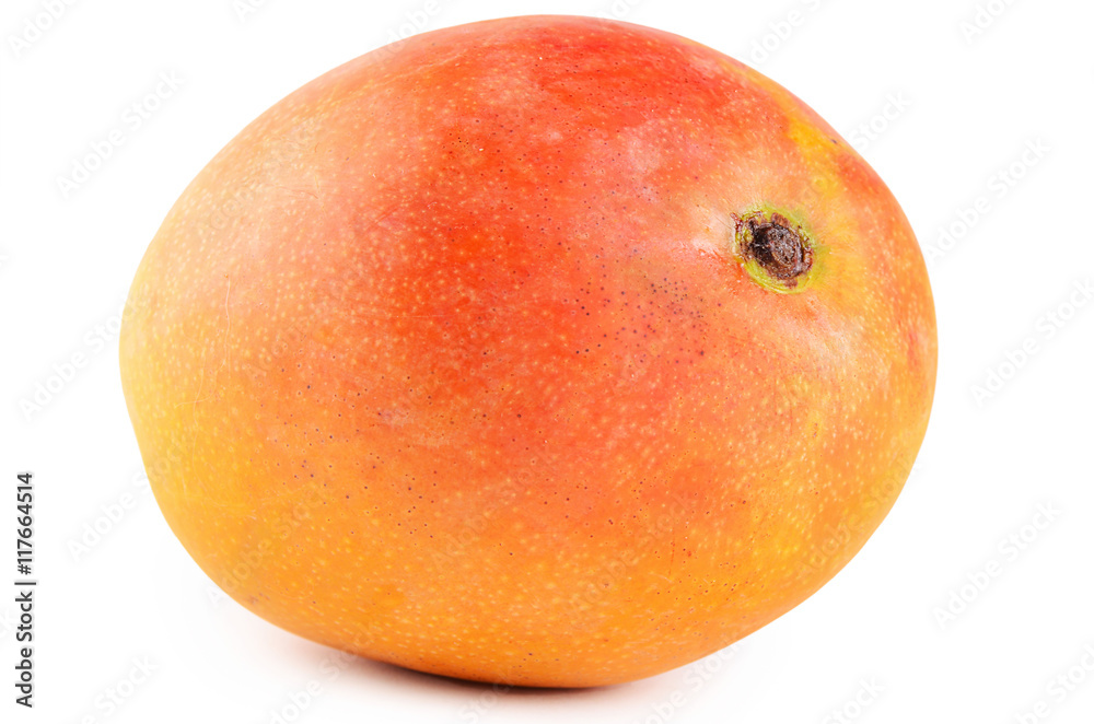 Mango fruit isolated on white background Mango fruit isolated on white background