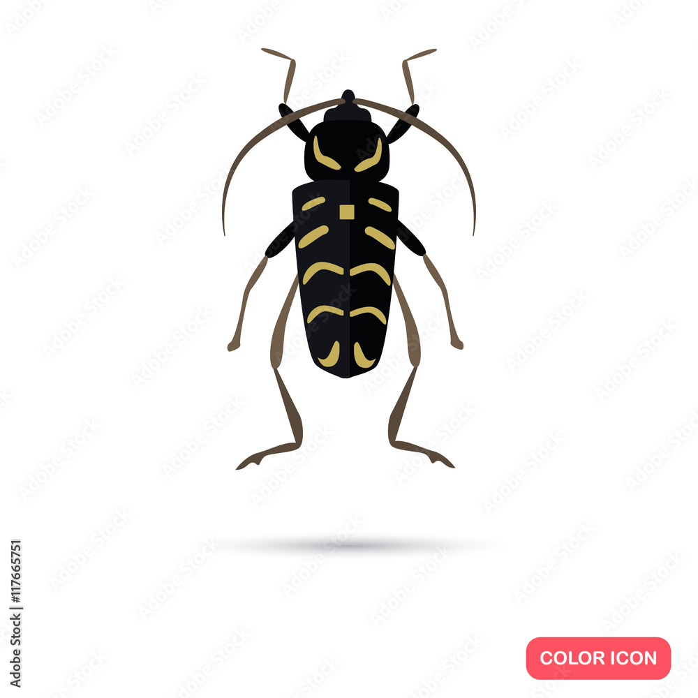 Color flat beetle icon Color flat beetle icon