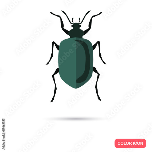 Color flat beetle icon
