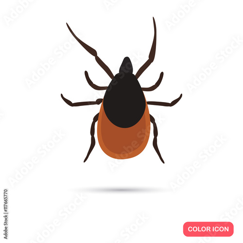Color flat mite icon
