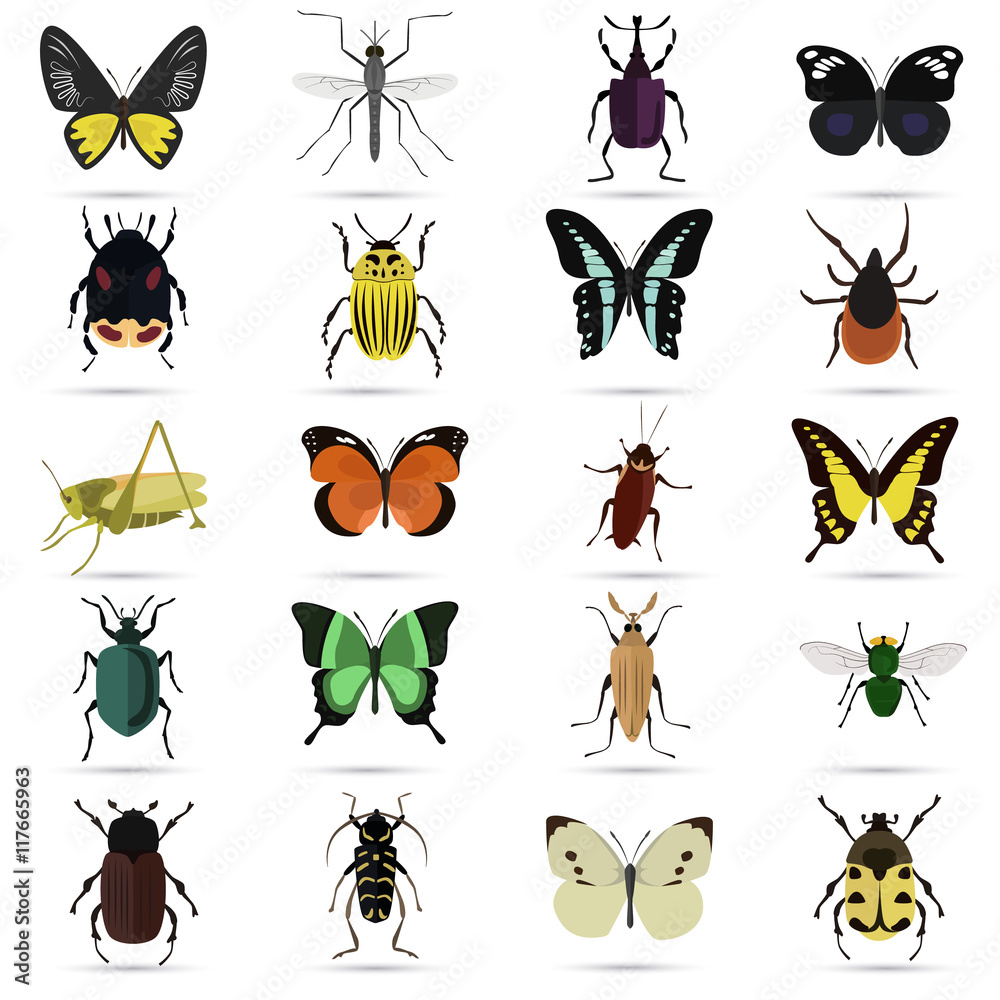 Fototapeta premium Set of twenty color flat insects icons