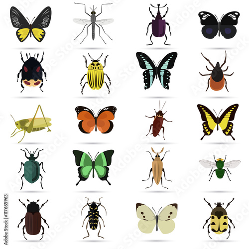 Set of twenty color flat insects icons