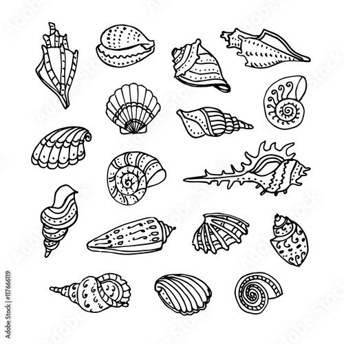 Doodle set of seashells. 