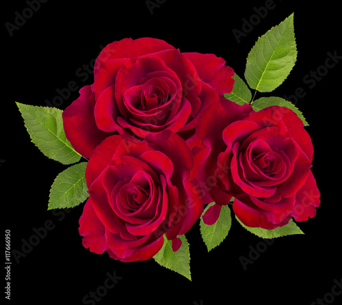 Red rose isolated on the black