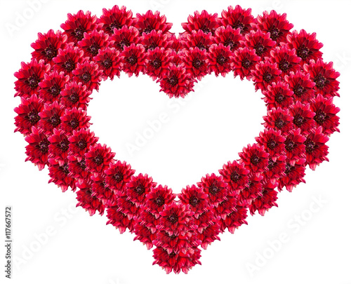 heart symbol of dahlia flowers. isolated on white background