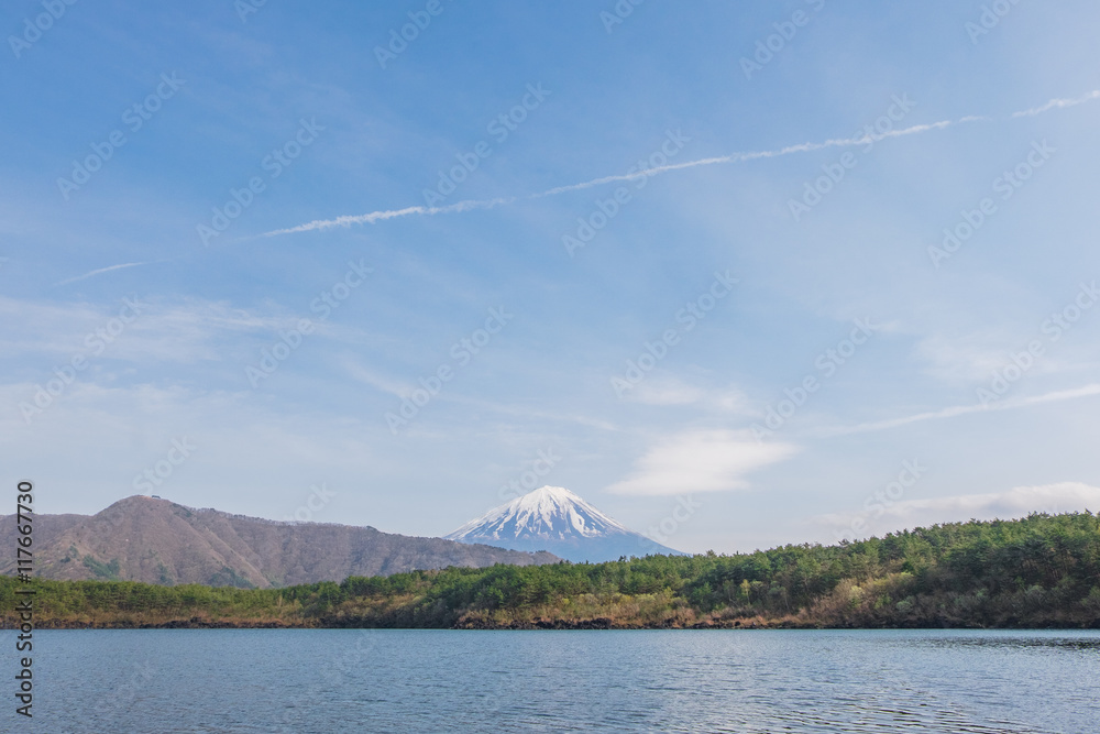 Mount Fuji from lake Saiko in spring