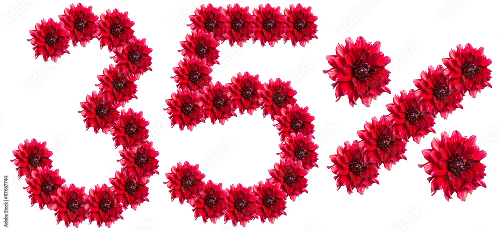 figures 35% of the letters written by flowers figures 35% of the letters written by flowers