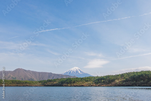 Obraz na płótnie Mount Fuji from lake Saiko in spring w salonie