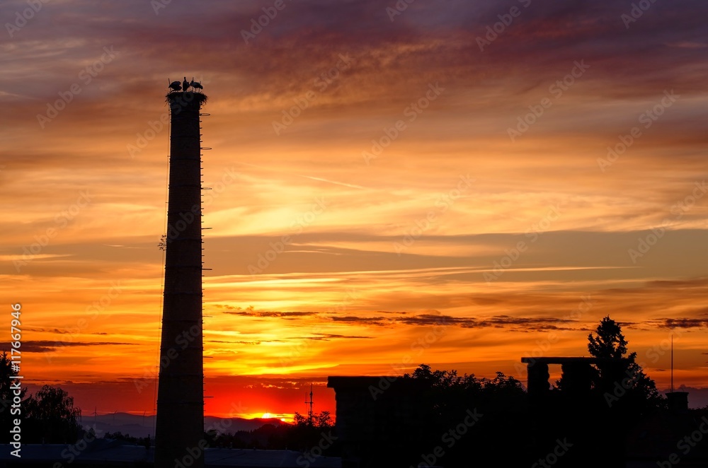 Chimney with the storks./ Factory chimney with the storks on nest at sunset.