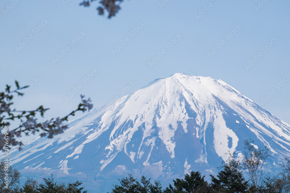 Mount Fuji from lake Saiko in spring