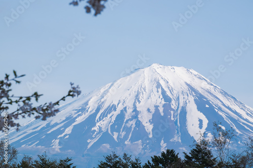 Obraz na płótnie Mount Fuji from lake Saiko in spring w salonie