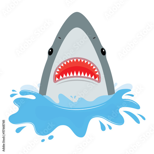 shark with open mouth.