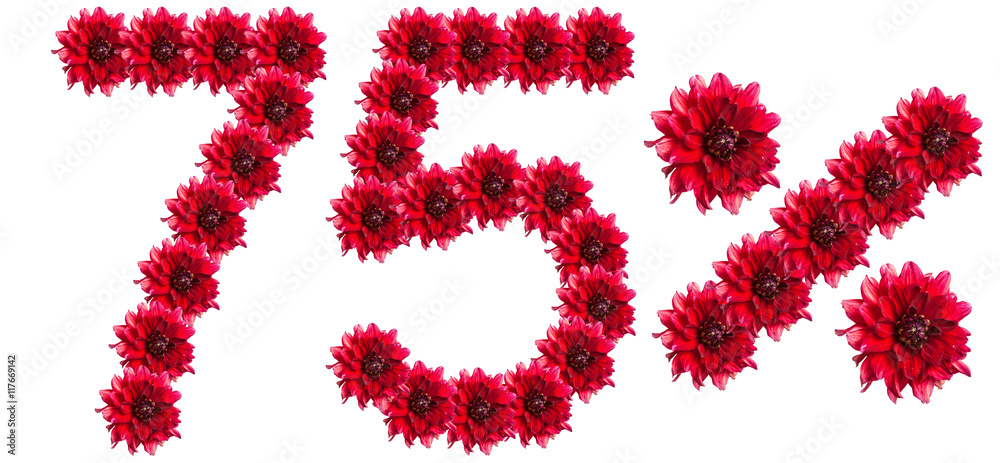 figures 75% of the letters written by flowers figures 75% of the letters written by flowers