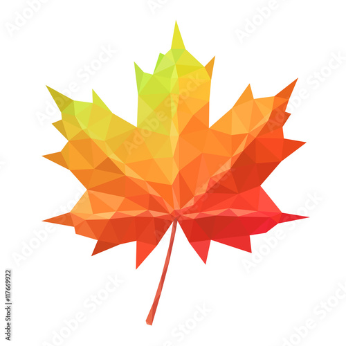 Low poly vector maple leaf geometric pattern