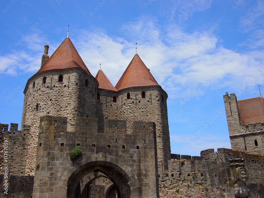 Carcassonne fort in summer
