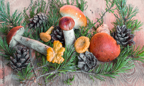 orange-cup boletus mushroom on a wooden background
