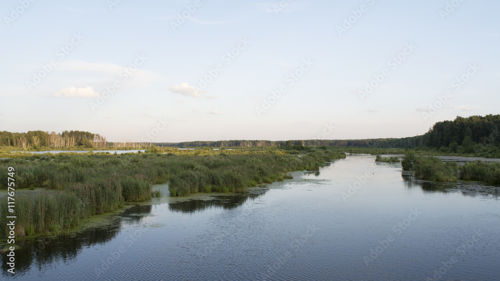 Fototapeta premium River in the evening. Beautiful landscape.