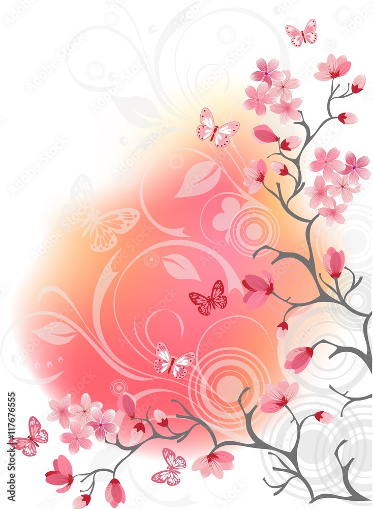 cherry blossom tree, white background