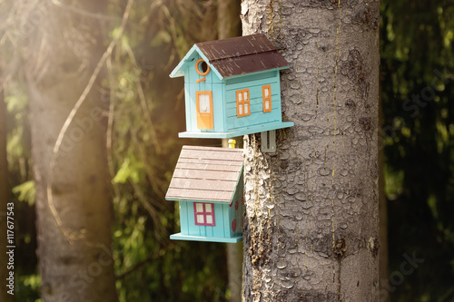 Cute birdhouses and old rustic wooden