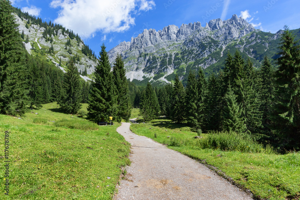 Fototapeta premium Hiking path through summer mountain landscape. Wild Kaiser cain or Wilder Kaiser, Austria, Tyrol.