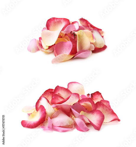 Fototapeta Naklejka Na Ścianę i Meble -  Pile of multiple rose petals
