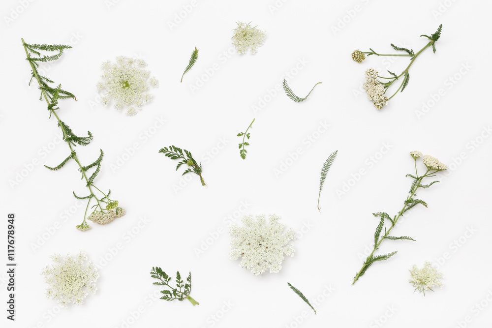 custom made wallpaper toronto digitalWild flowers on white background. Top view, flat lay