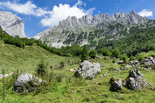 Idyllic mountain landscape in the austrian alps. Wilder Kaiser, Tyrol. photo