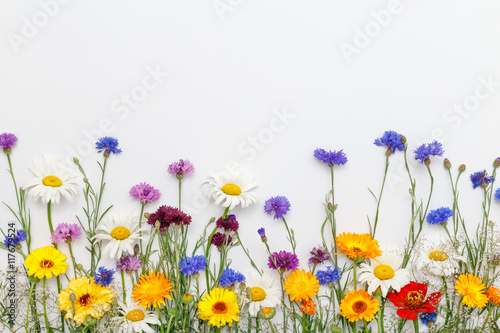 Flowers on white background. Top view, flat lay © Beautiful textures