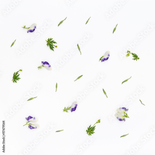 Flowers pattern on white background. Top view, flat lay