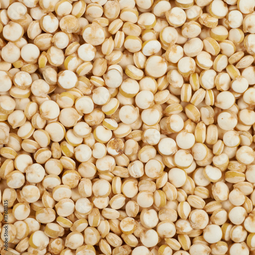 Surface coated with quinoa seeds