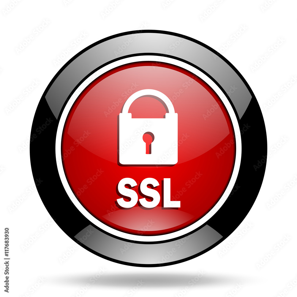 ssl icon