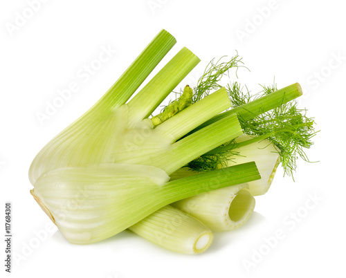 Fresh fennel isolated on the white background