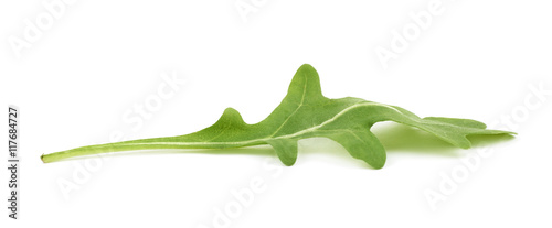Single green rocket salad leaf isolated