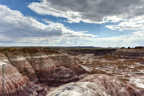 Blue Mesa - Petrified Forest National Park