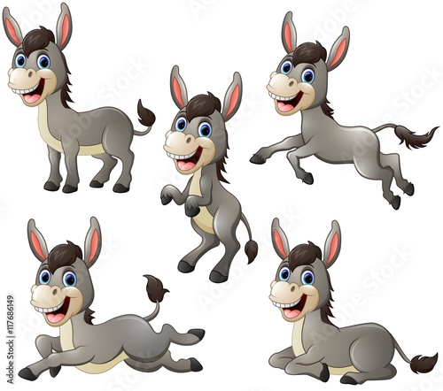 Donkey cartoon set collection