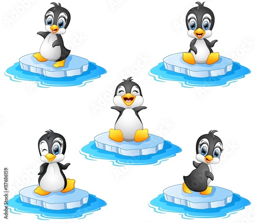 Penguin cartoon set collection