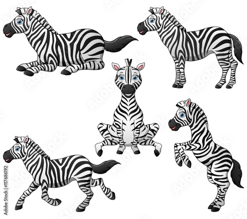 Zebra cartoon set collection