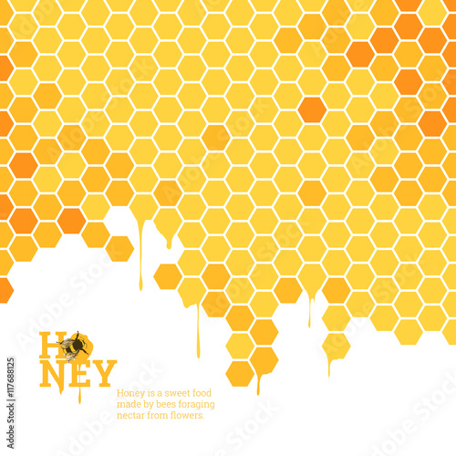 Honeycombs bright background