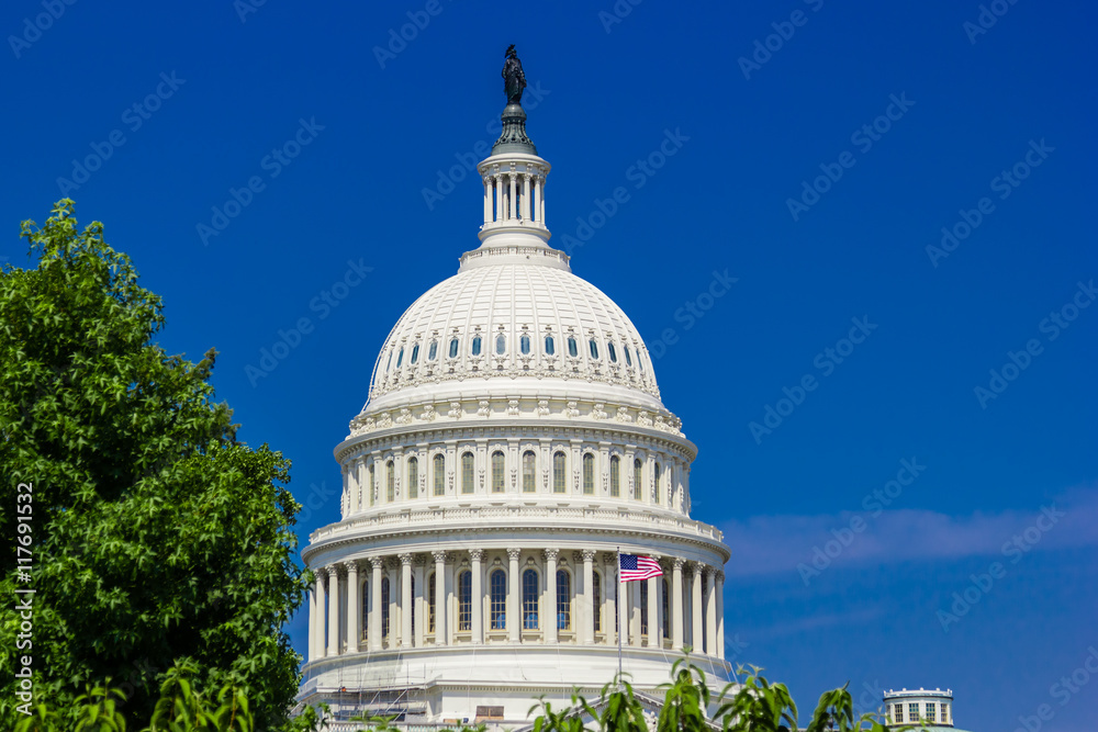 Obraz premium US Capitol Building on a clear day with blue sky. Senate and House of Representatives of the United States Government
