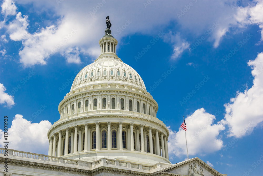 US Capitol Building on a clear day with blue sky. Senate and House of Representatives of the United States Government US Capitol Building on a clear day with blue sky. Senate and House of Representatives of the United States Government