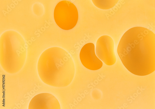 Texture of cheese, close-up
