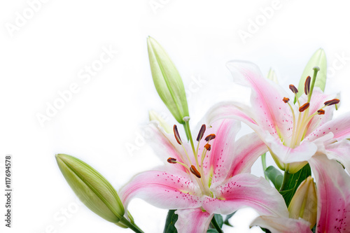 lily flowers corner frame