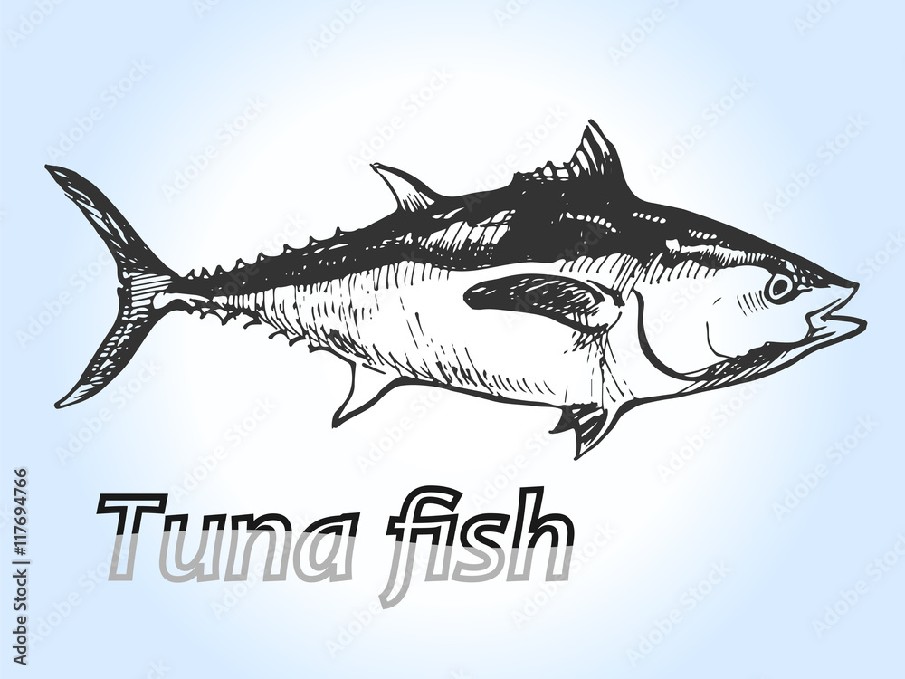 Fototapeta premium Tuna