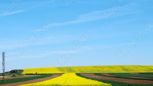 Farmland with clear blue sky