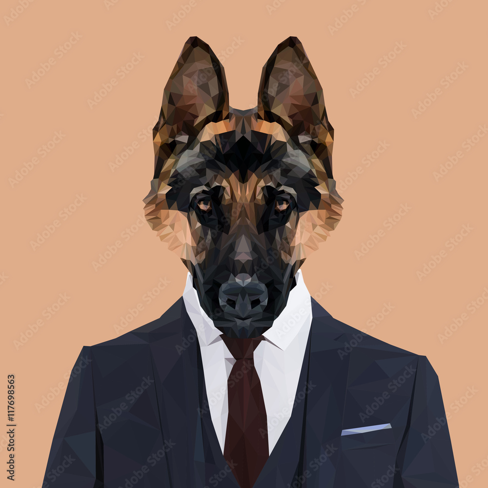 dressed up german shepherd