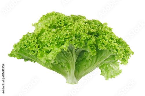 Fresh ripe lettuce with green leaves isolated on white