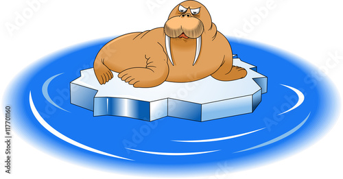 walrus and ice floe