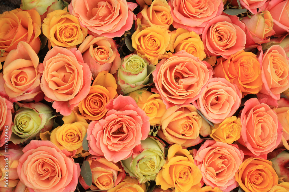 Yellow and orange roses Yellow and orange roses