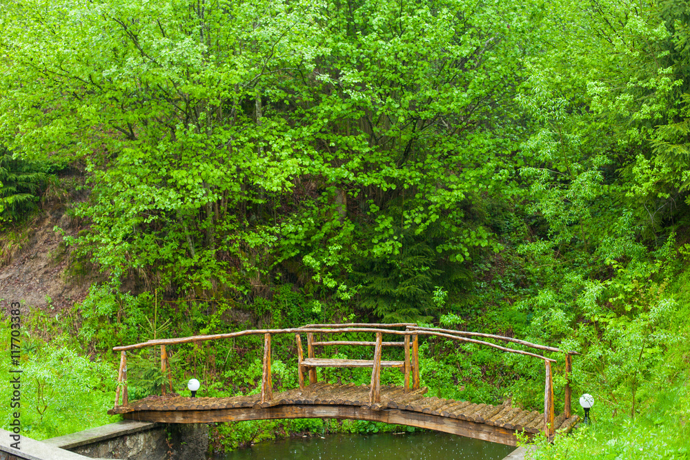 Obraz premium Wooden bridge surrounded by green trees
