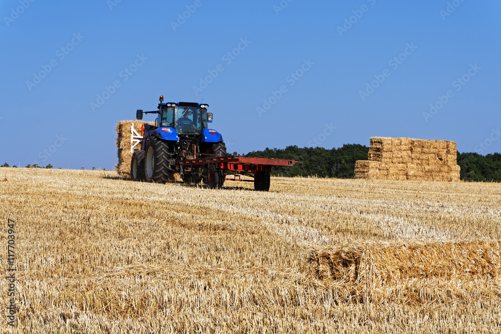 Obraz premium Récolte de paille